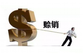 温州企业清欠服务