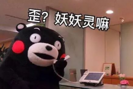 温州企业清欠服务